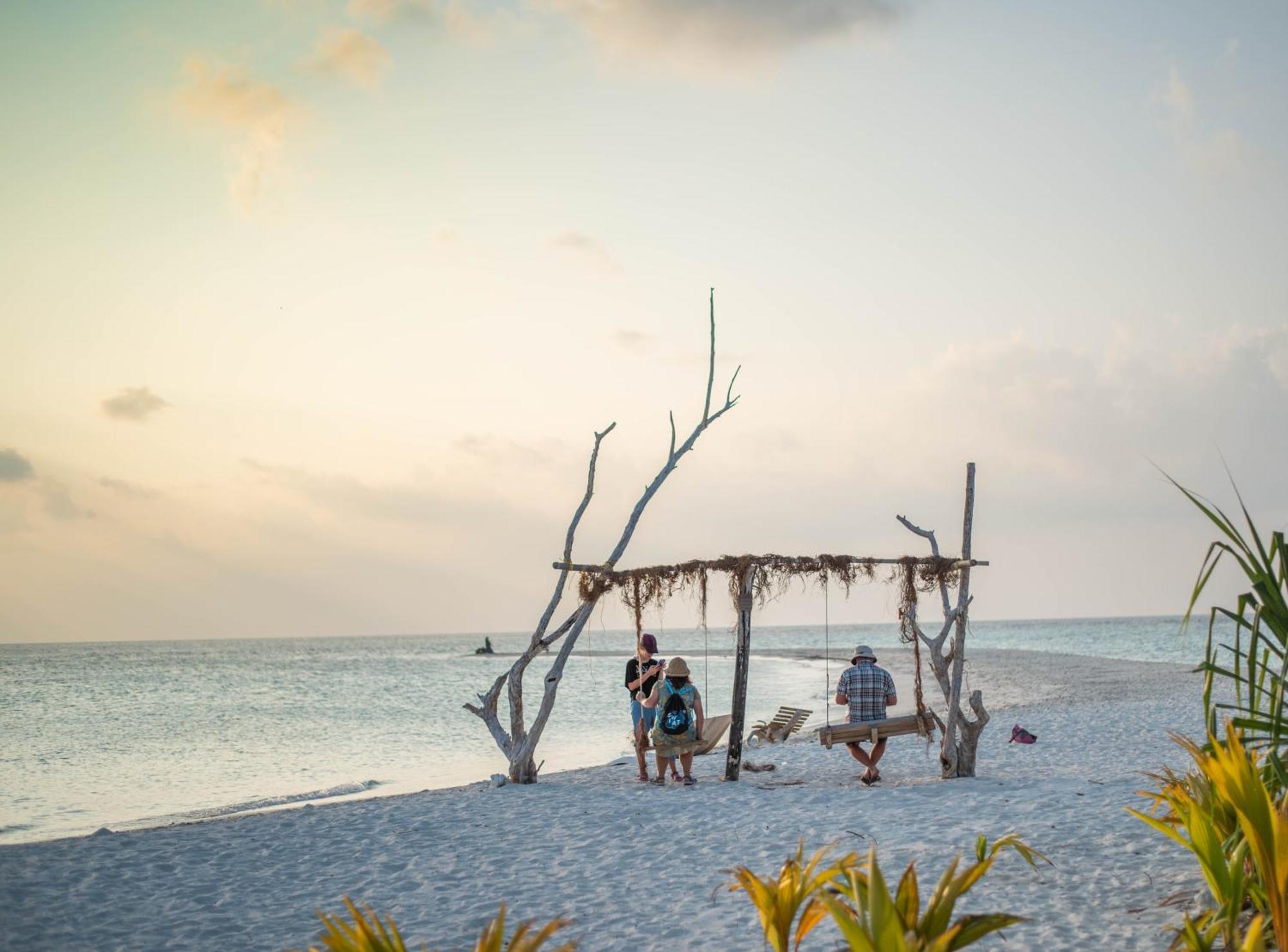 Turtle Maldives - Your Gateway To The Beach & Marine Adventures Await! Omadhoo Eksteriør bilde