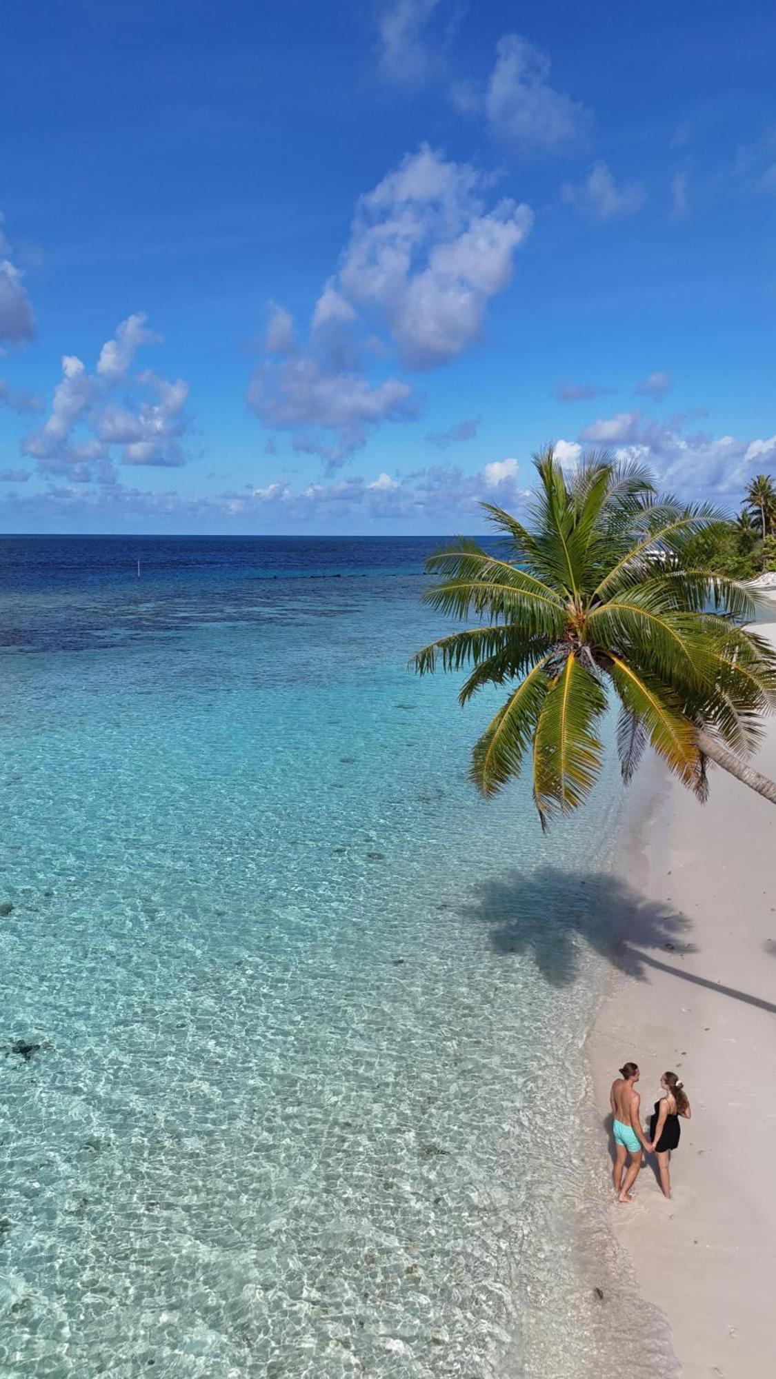 Turtle Maldives - Your Gateway To The Beach & Marine Adventures Await! Omadhoo Eksteriør bilde