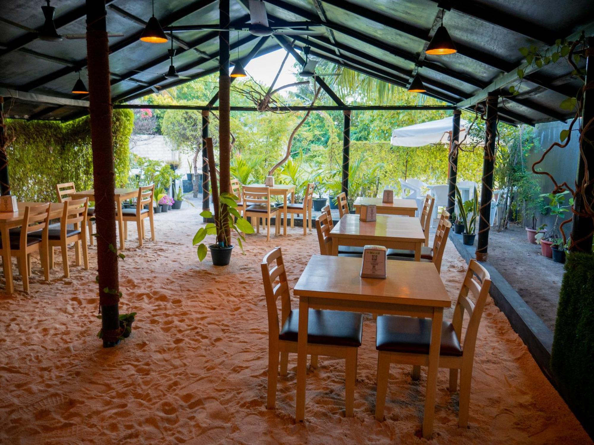 Turtle Maldives - Your Gateway To The Beach & Marine Adventures Await! Omadhoo Eksteriør bilde