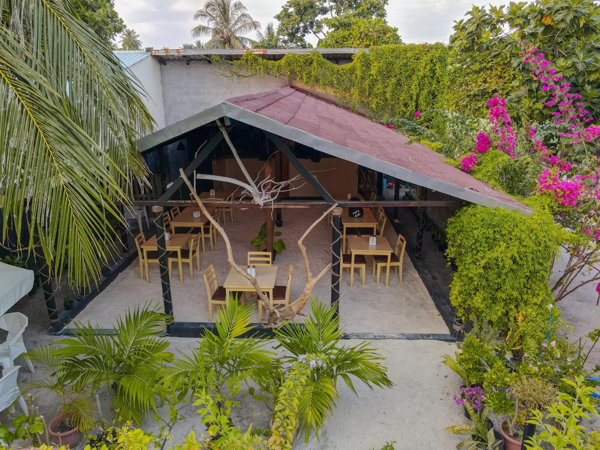 Turtle Maldives - Your Gateway To The Beach & Marine Adventures Await! Omadhoo Eksteriør bilde