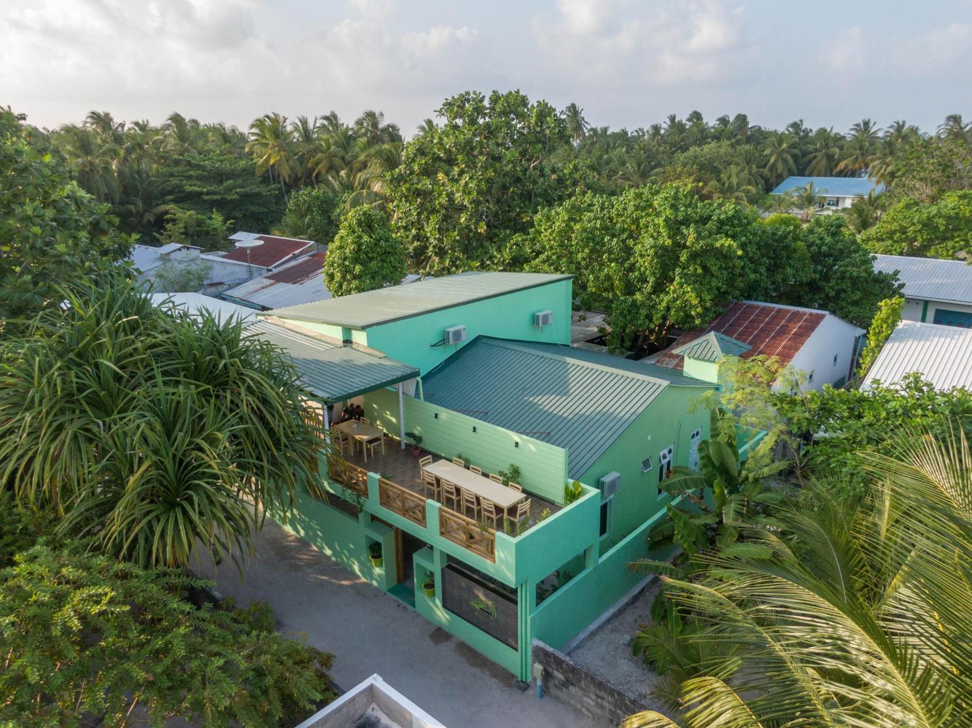 Turtle Maldives - Your Gateway To The Beach & Marine Adventures Await! Omadhoo Eksteriør bilde